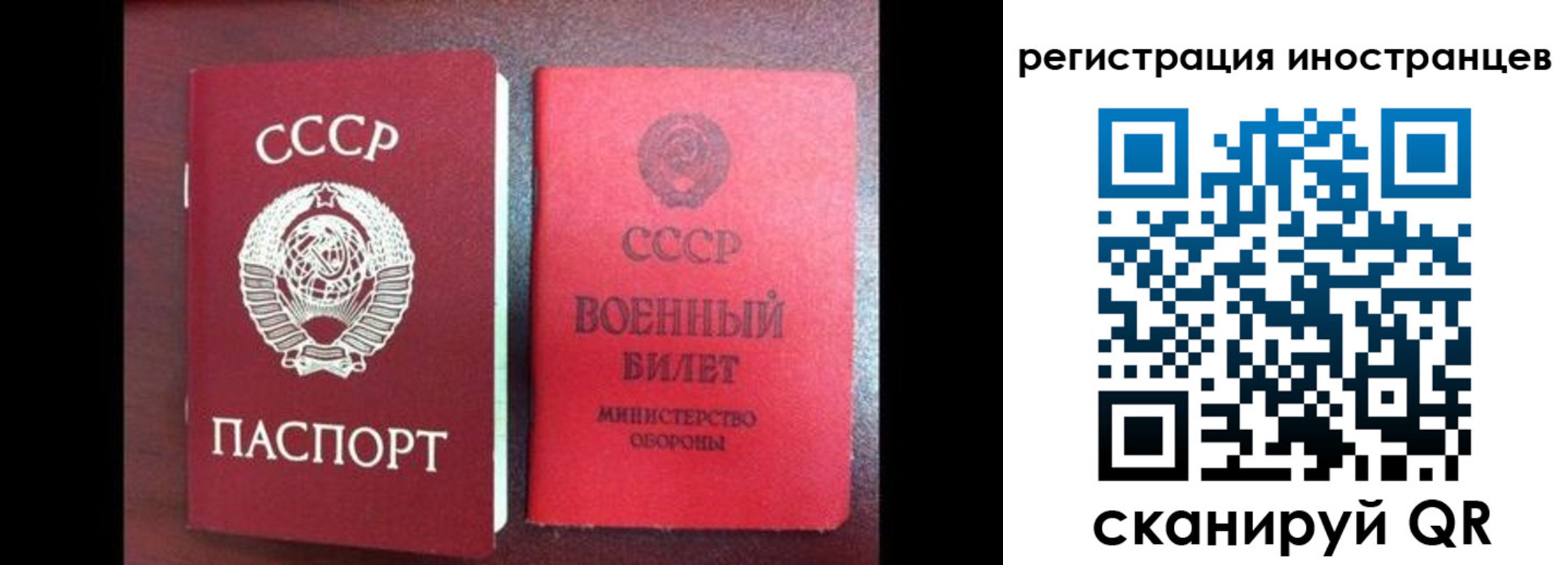 временная регистрация для всех в Шумихе